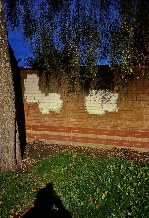 Multiple white paint patches on a brick garden wall before removal work
