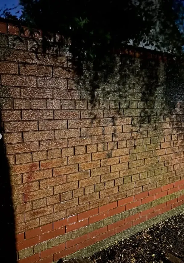 Brick wall after professional paint removal revealing the original masonry finish