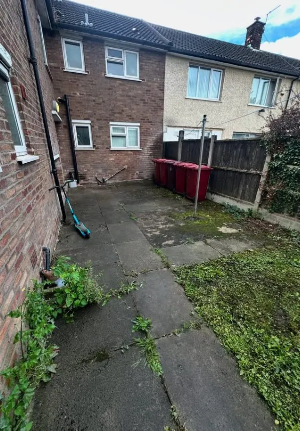 Moss-covered rear concrete patio before pressure washing and surface cleaning