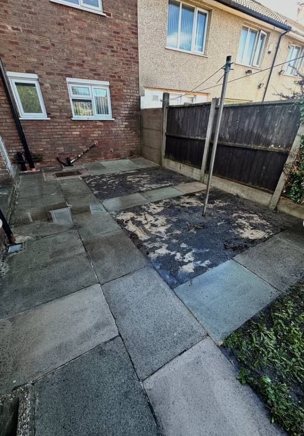 Rear patio and concrete slabs after professional exterior cleaning