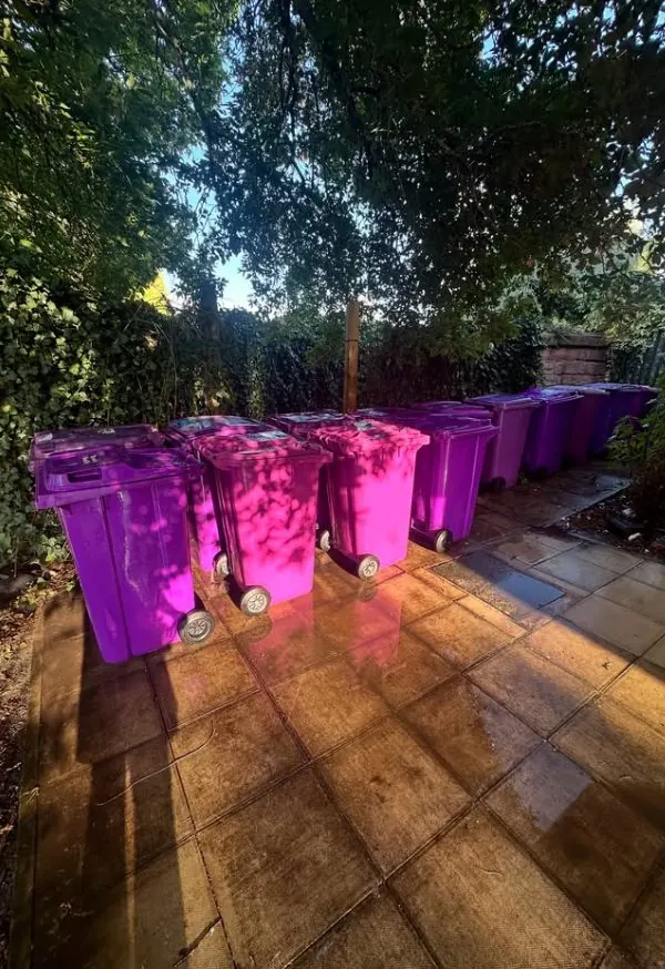 Garden patio with clean paving beside wheelie bins after pressure washing