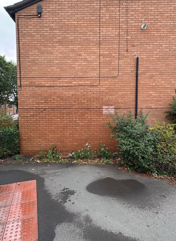 Clean red brick wall after complete professional graffiti removal — no ghosting or staining