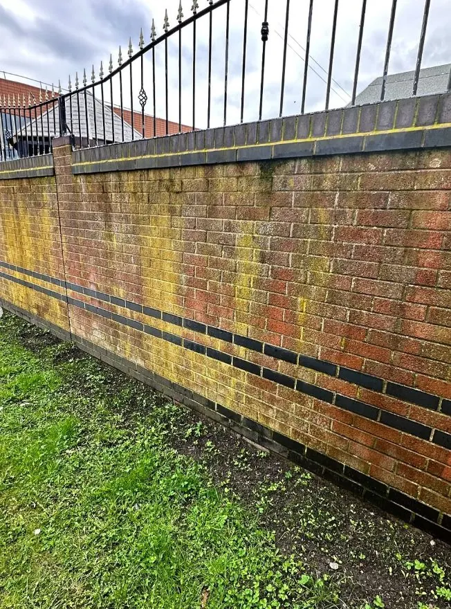 Brick boundary wall with yellow biological staining before brick cleaning