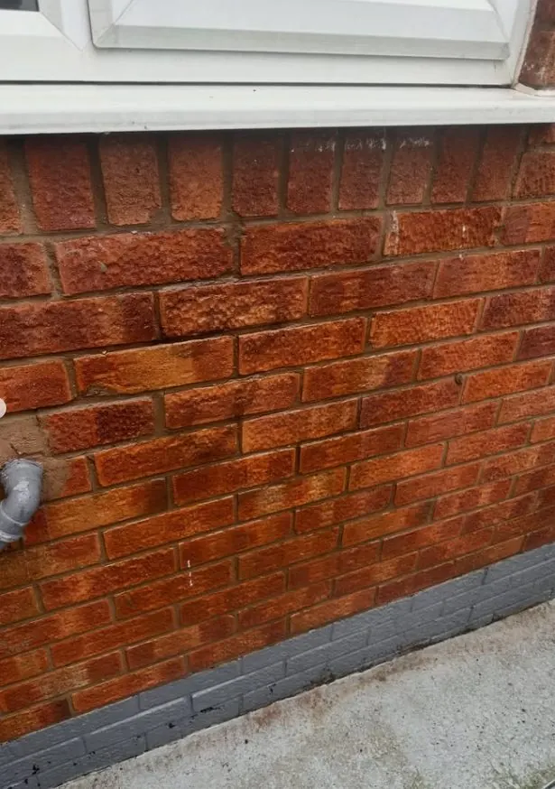 Freshly cleaned red brick wall showing vibrant original brickwork colour after restoration in Liverpool